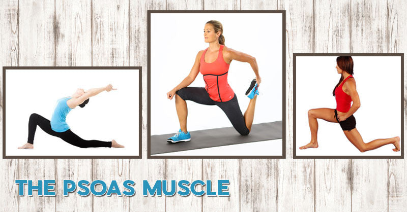 The Psoas Muscle EasyFlexibility
