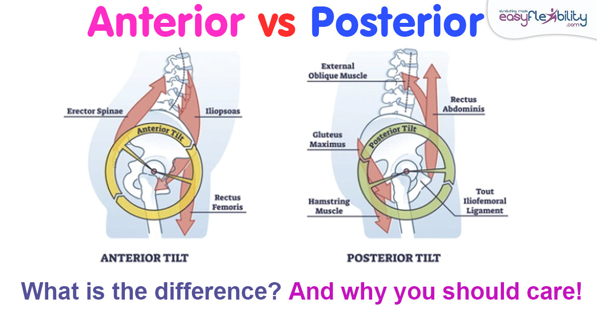 Anterior vs. Posterior Pelvic Tilt: Key Insights & Benefits