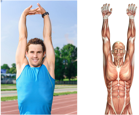 If You Have Chronic Shoulder Pain This Article Will Change Your Life