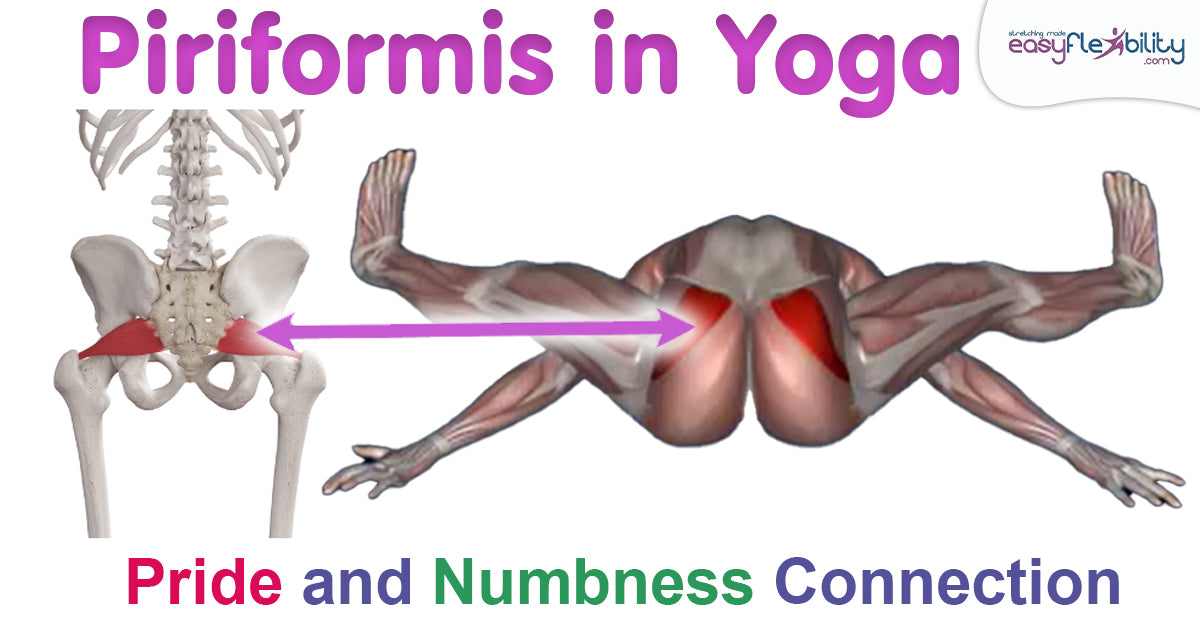 From Anatomy to Asana: Mastering Kurmasana (Pancake Pose) with a Focus on the Piriformis Muscle