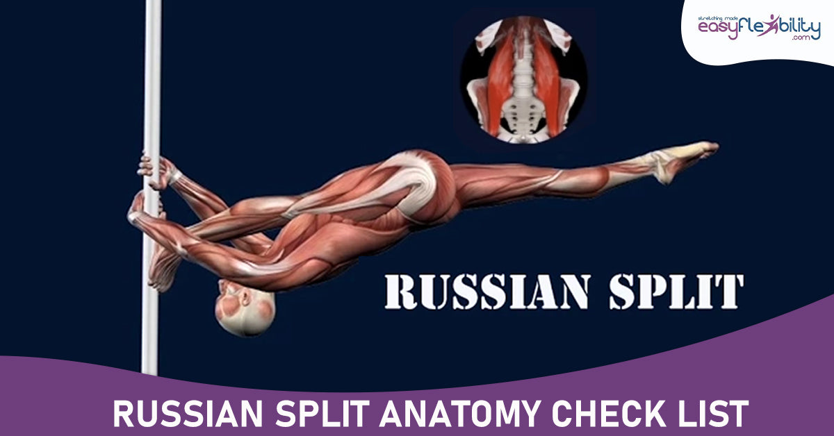 How to Pole Dance Russian Split Progression Tutorial Muscle Animation