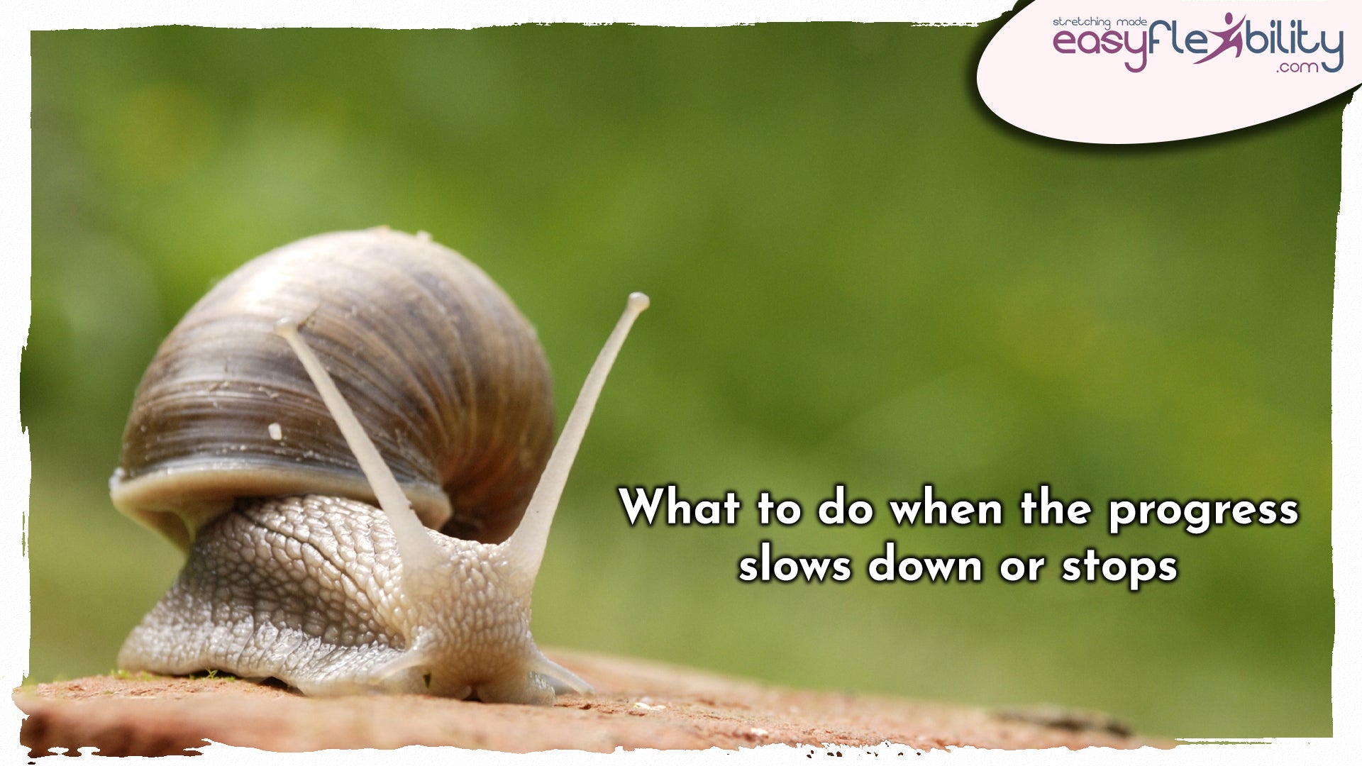 What to do when the progress slows down or stops