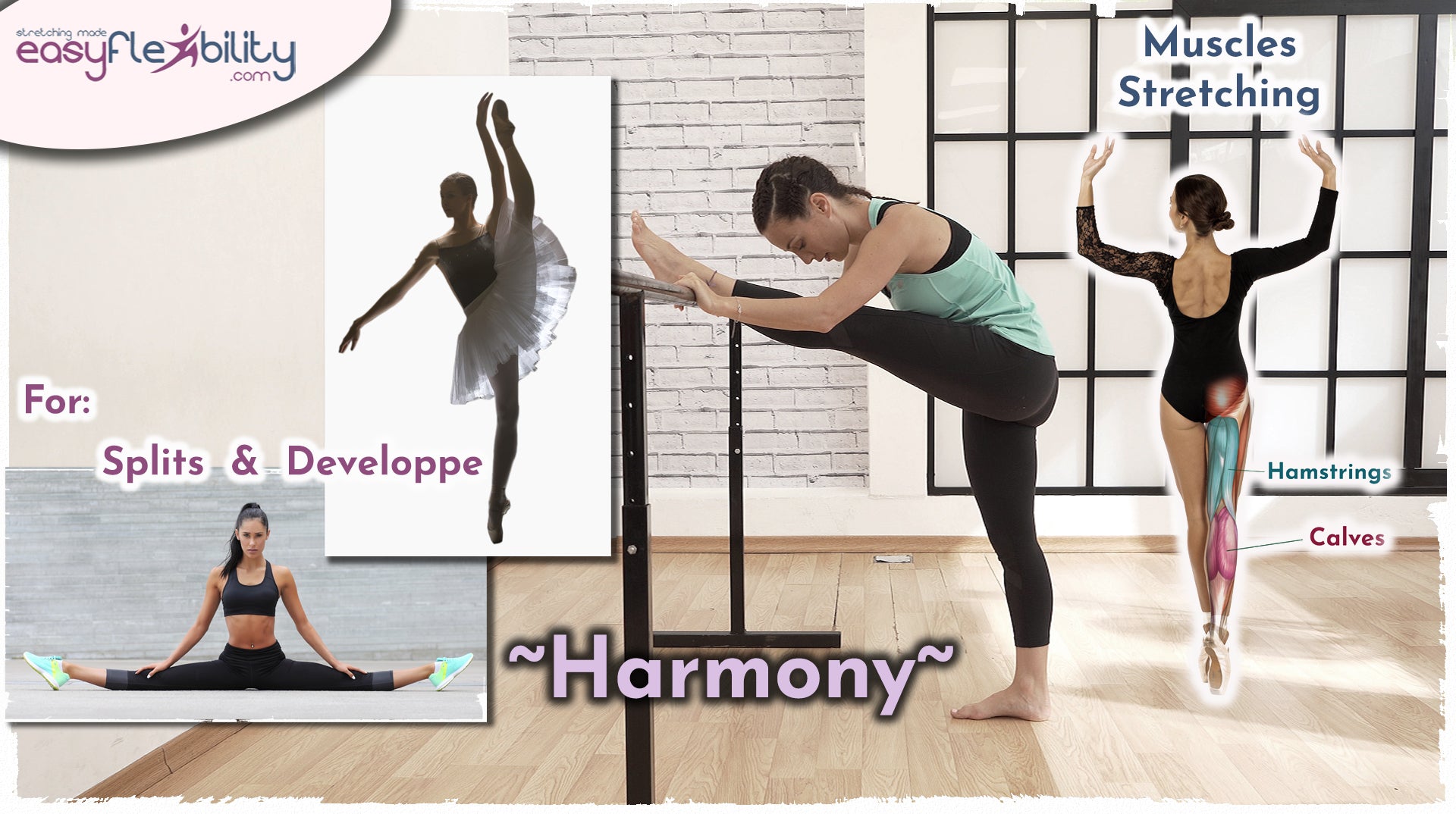 Developpe Harmony
