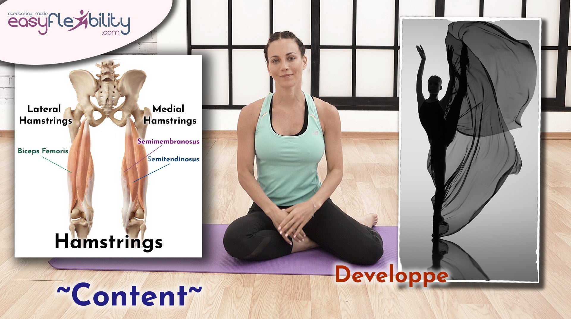 Developpe Content