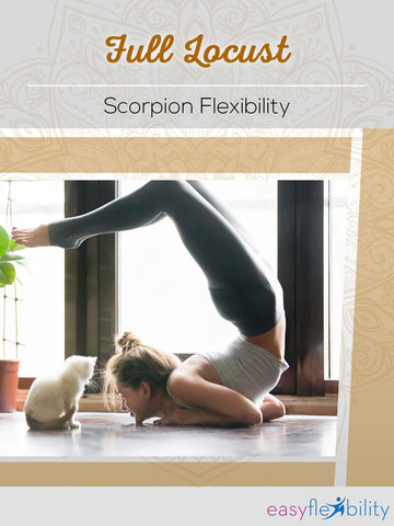 Full Locust Scorpion Flexibility