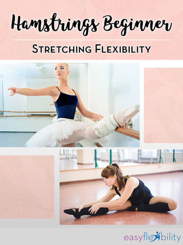 Hamstrings Beginner Stretching Flexibility