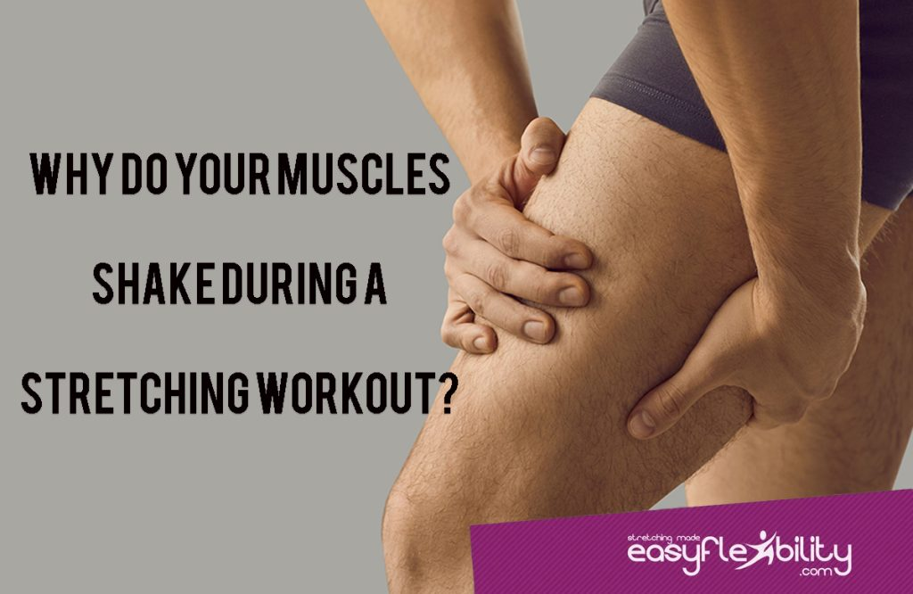 Why do muscles shake during a stretching workout?