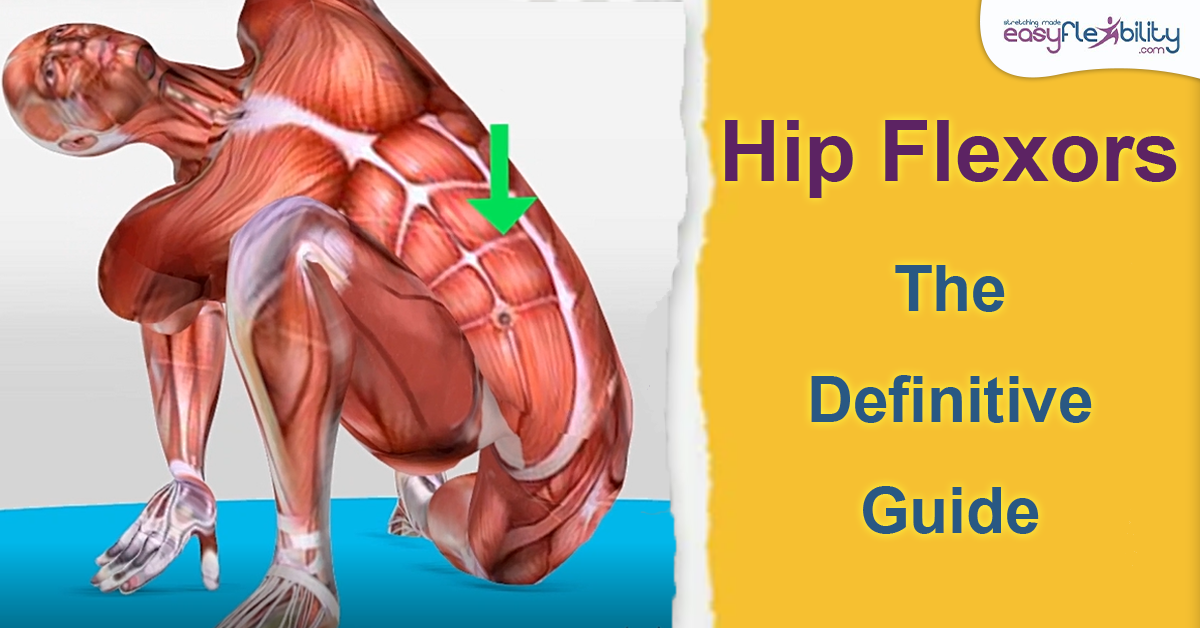 Hip Flexors: The Definitive Guide.