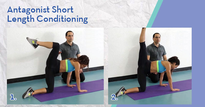 Antagonist Short Length Conditioning