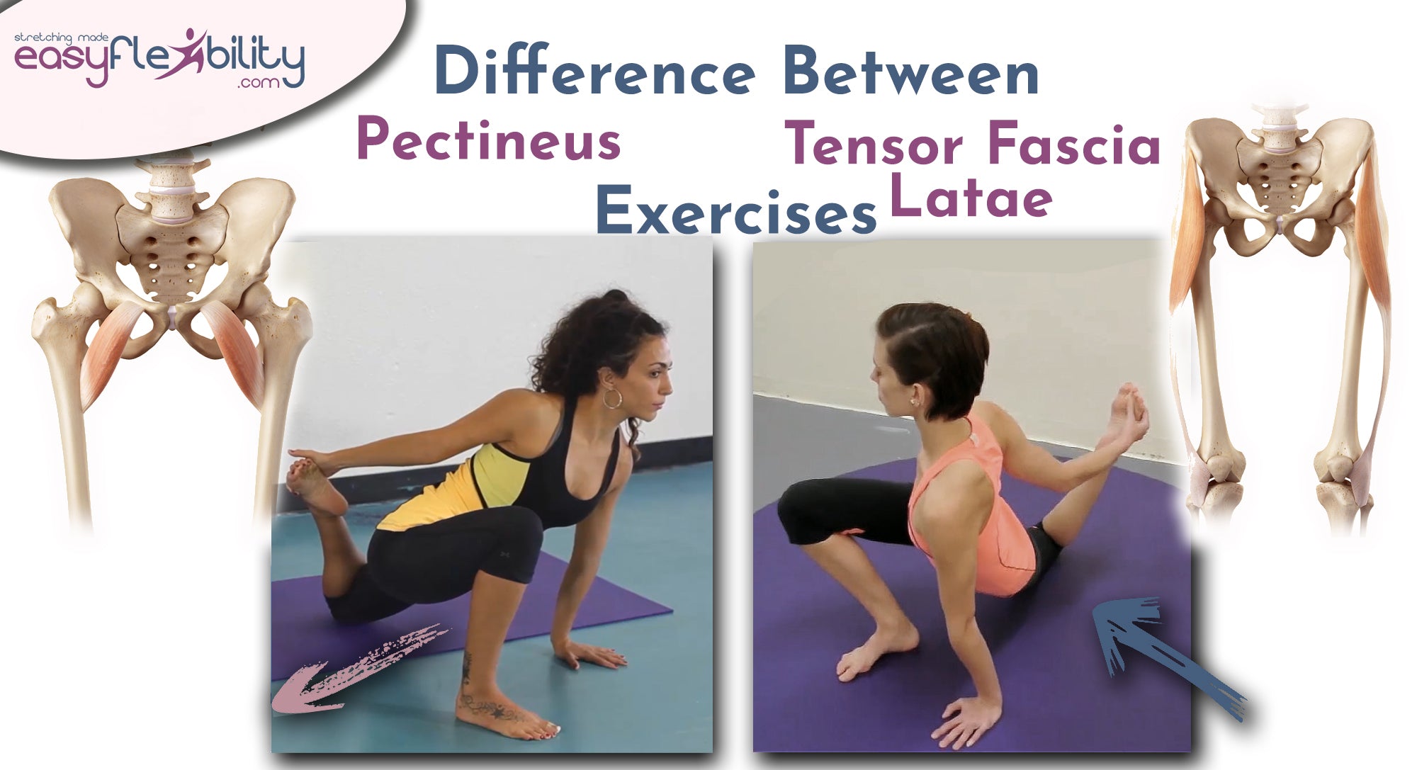 Differences between Pectineus ZST and Tensor fascia latae ZST