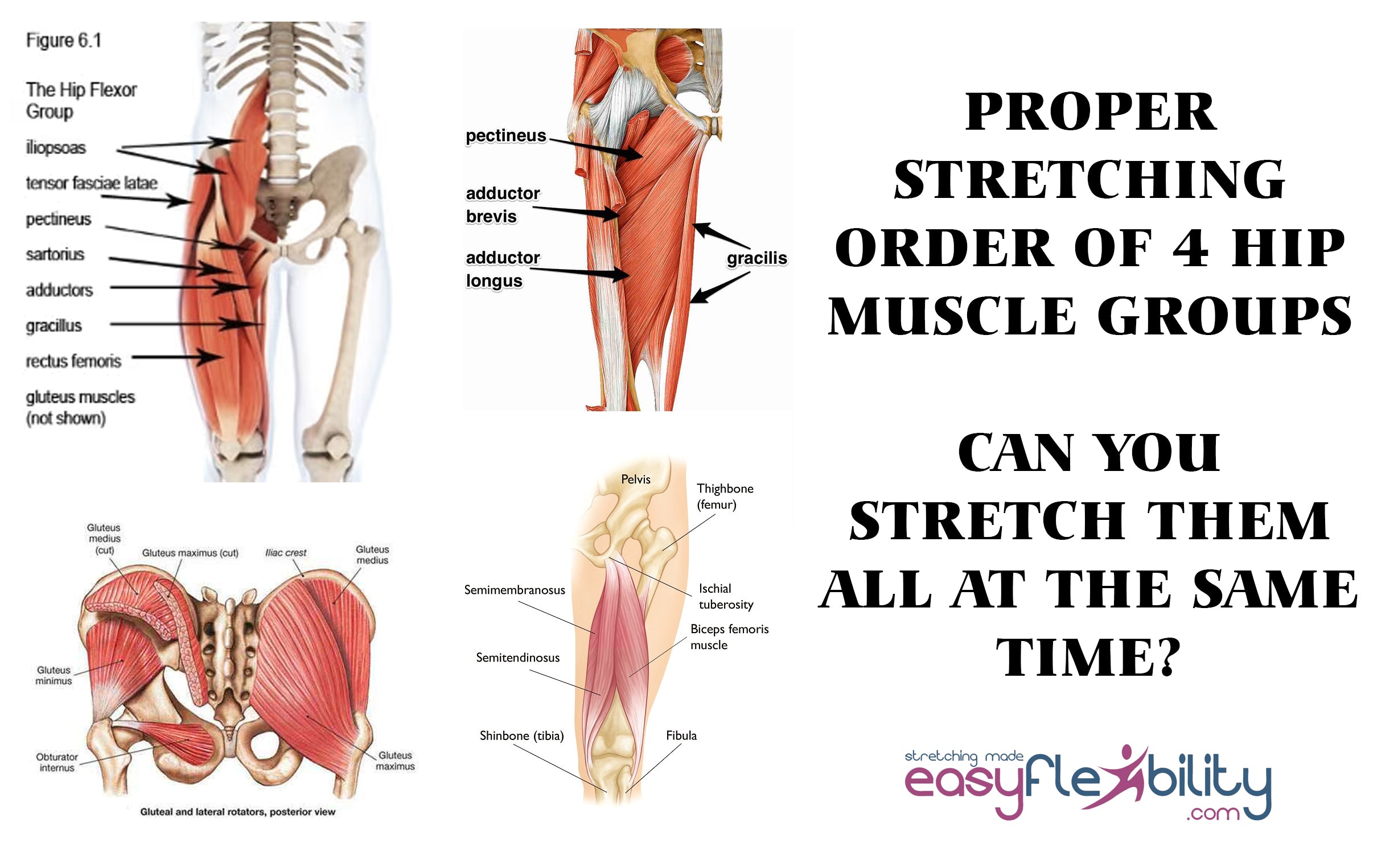 Proper Stretching Order of 4 Hip Muscle Groups. Can You Stretch Them All At The Same Time?