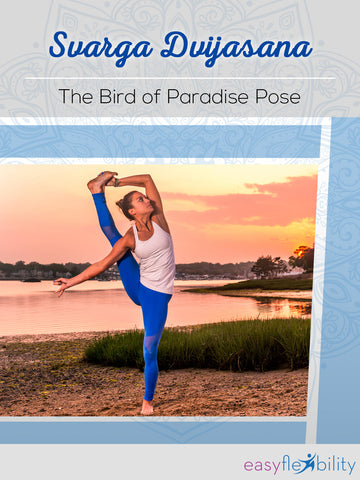 Svarga Dvijasana - The Bird of Paradise Pose